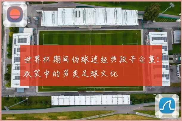 世界杯期间伪球迷经典段子合集：欢笑中的另类足球文化