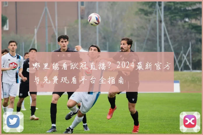 哪里能看欧冠直播?2024最新官方与免费观看平台全指南