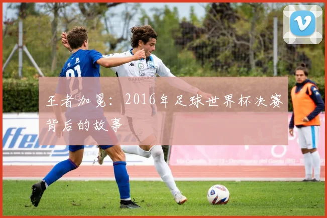 王者加冕:2016年足球世界杯决赛背后的故事