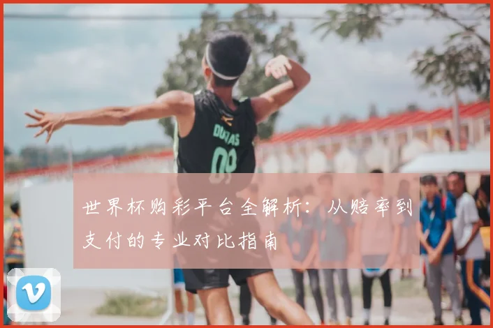 世界杯购彩平台全解析:从赔率到支付的专业对比指南