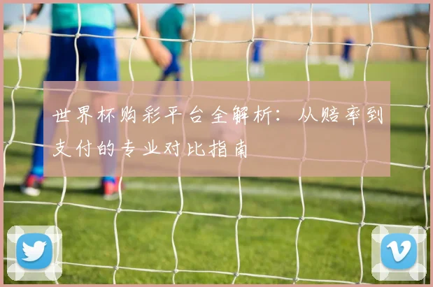 世界杯购彩平台全解析:从赔率到支付的专业对比指南