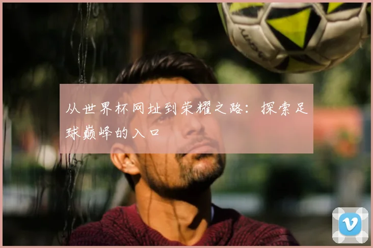 从世界杯网址到荣耀之路：探索足球巅峰的入口