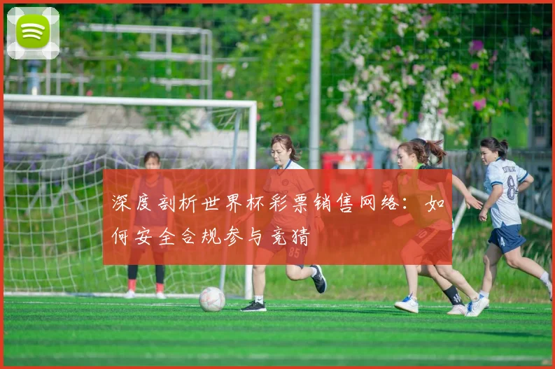 深度剖析世界杯彩票销售网络：如何安全合规参与竞猜